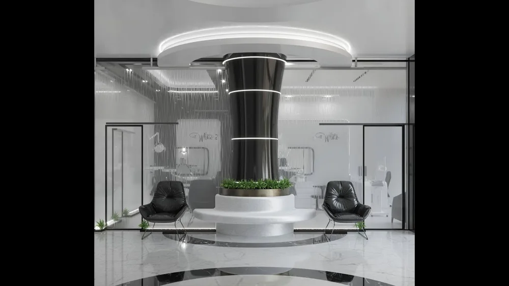 Fadoua White Animation YouTube #architecture #interiordesign  #clinic #medical